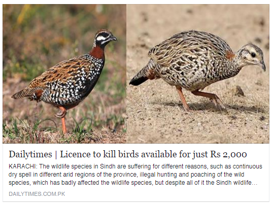 Licence to kill birds available for just Rs 2,000